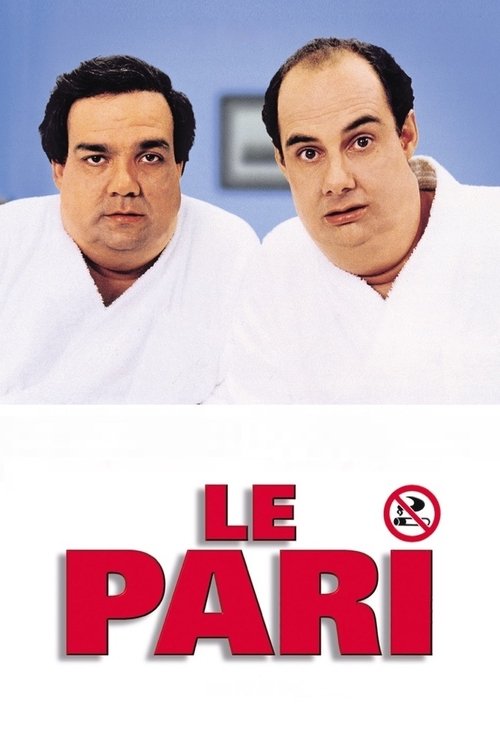 Le Pari streaming gratuit vf vostfr 